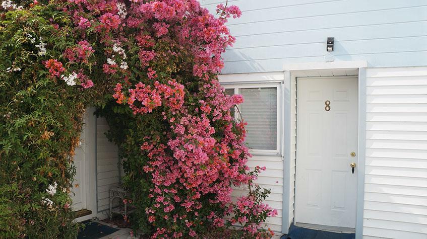 Stinson Beach Motel Buitenkant foto